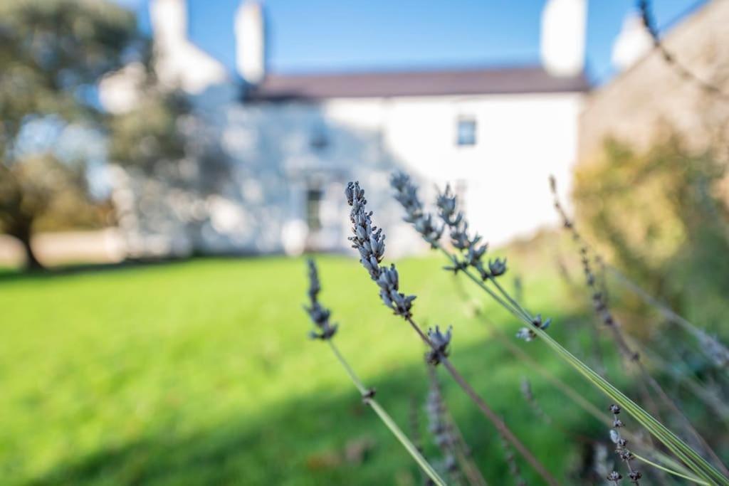 Georgian Country House -Panoramic Views -Sleeps 12 Ruthin Eksteriør bilde
